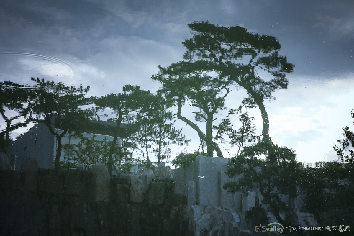 We are bizvalley web agency