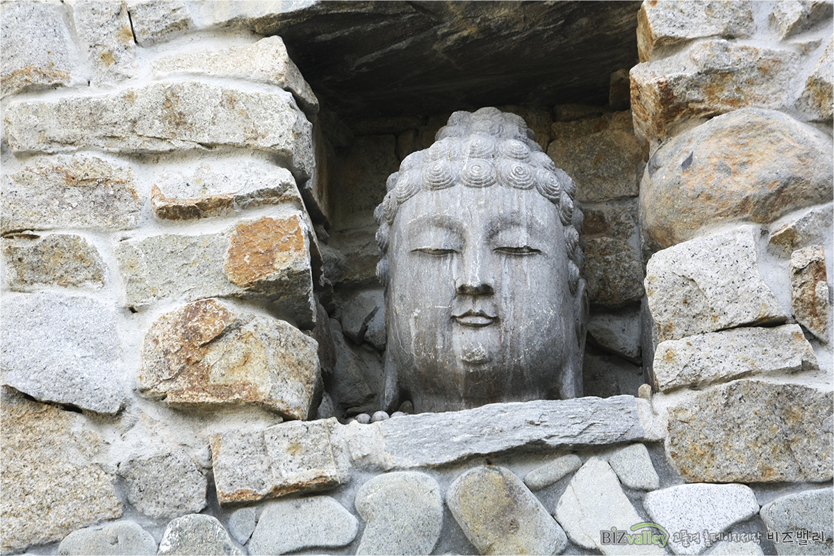 We are Web program production company