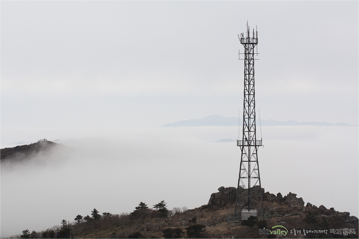 Creative digital agency based in Korea