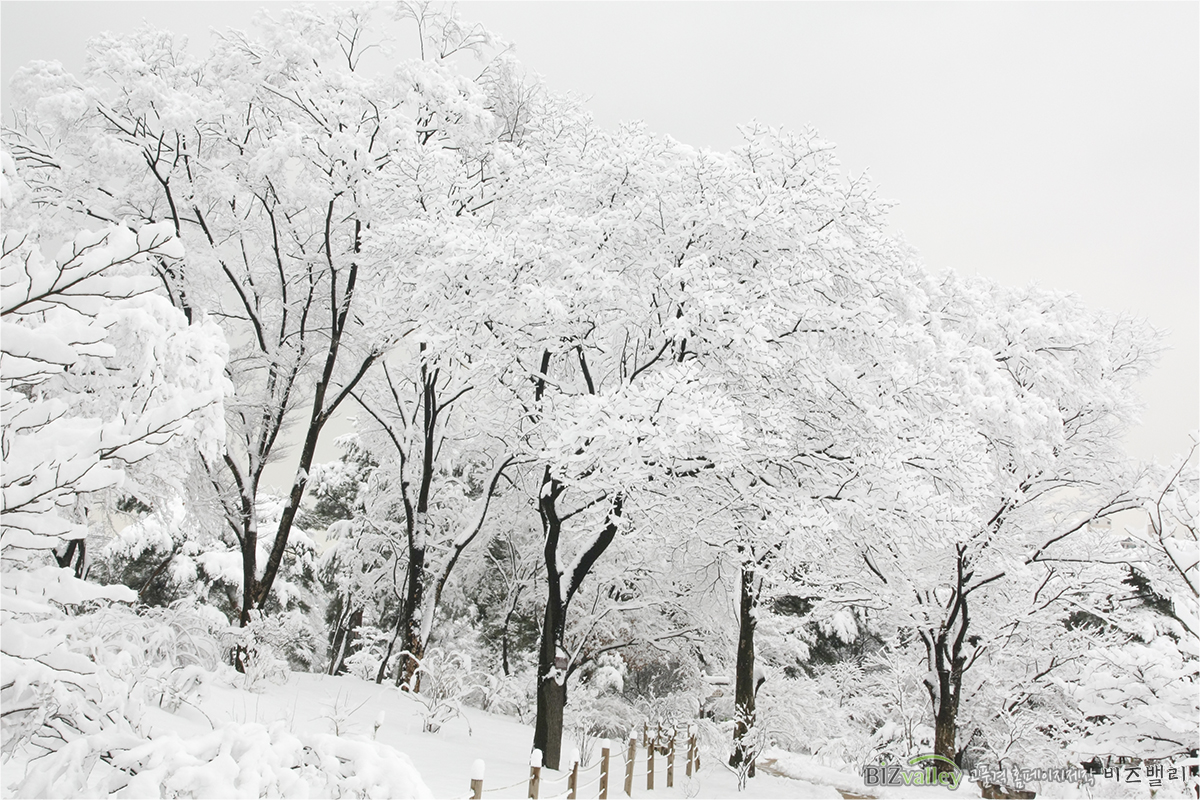 Creative digital agency based in Korea