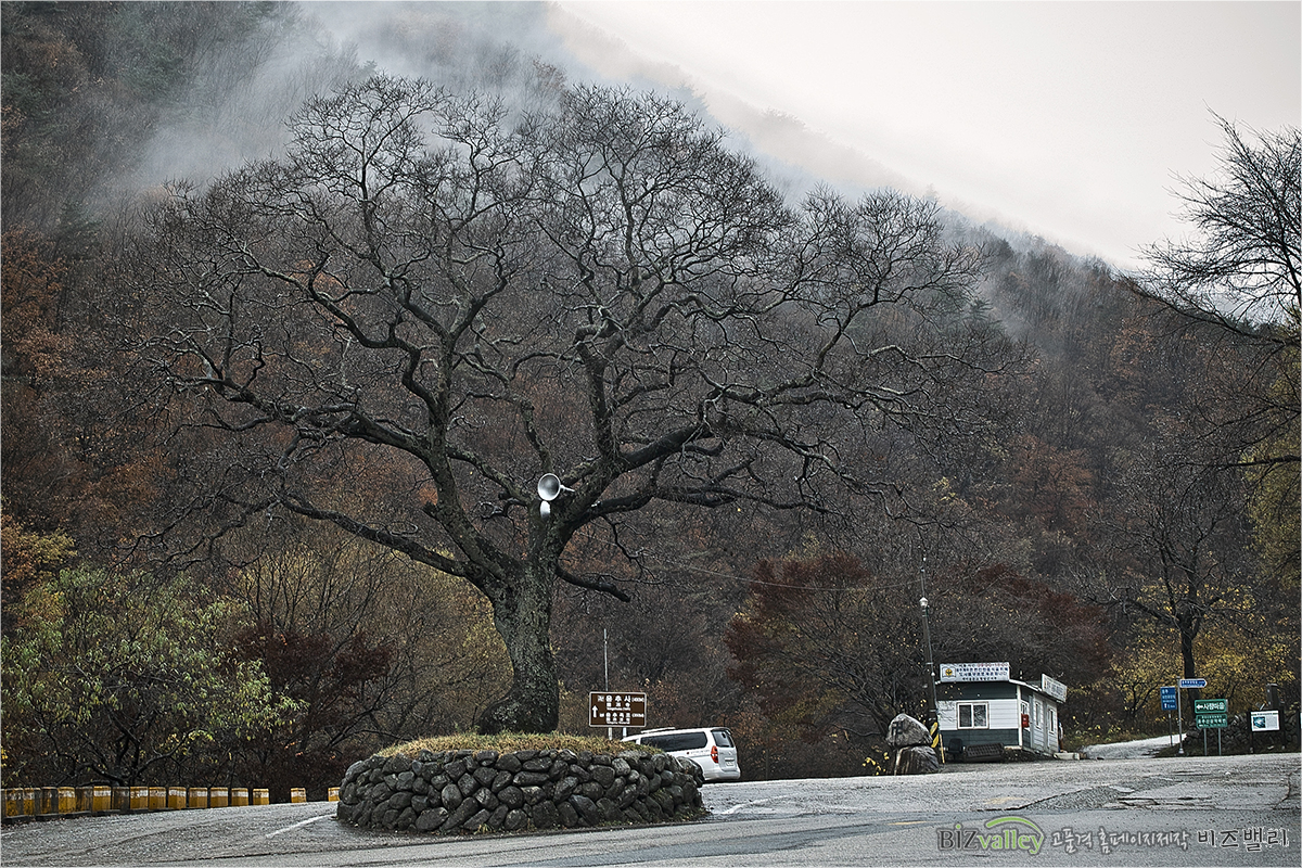 Creative digital agency based in Korea