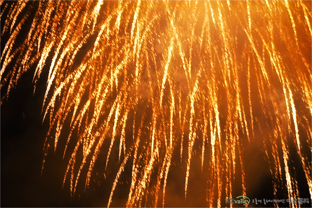 Welcome to bizvalley!