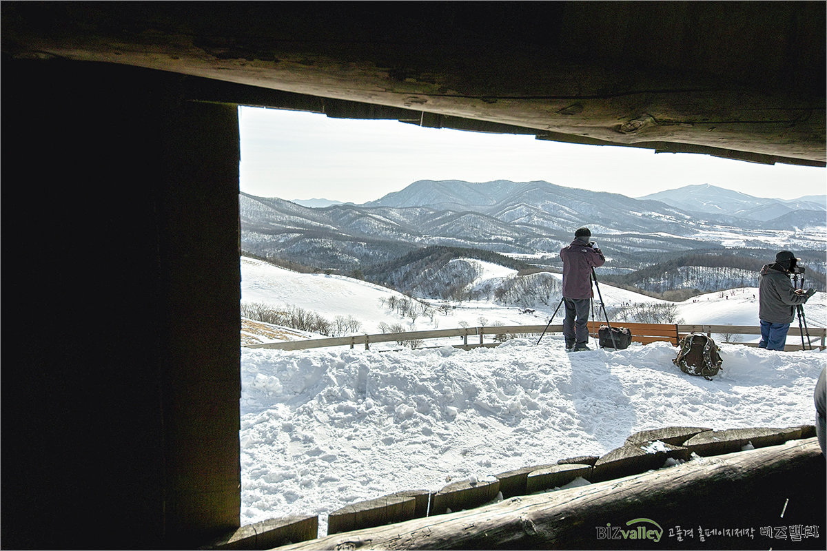 Homepage production specializing company