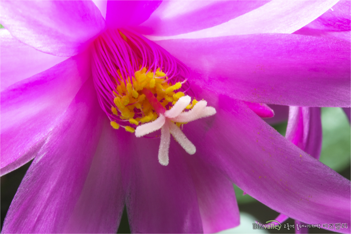 Creative digital agency based in Korea