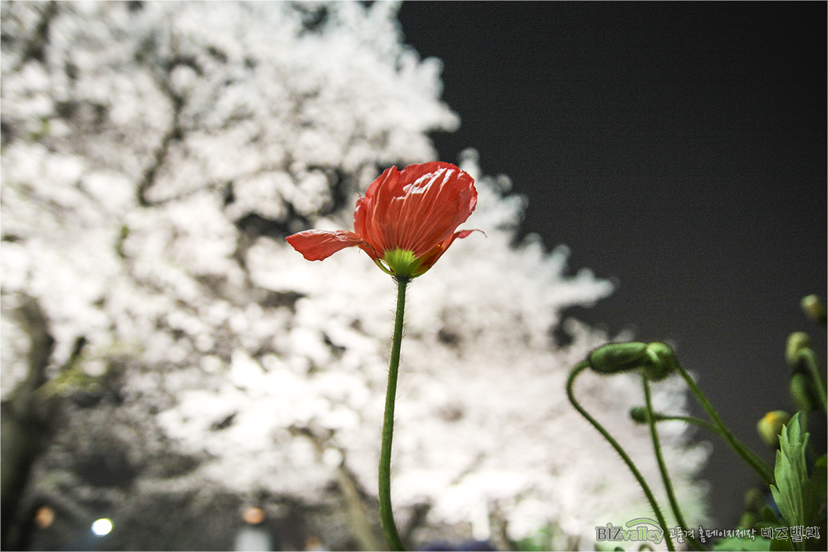 Homepage production specializing company