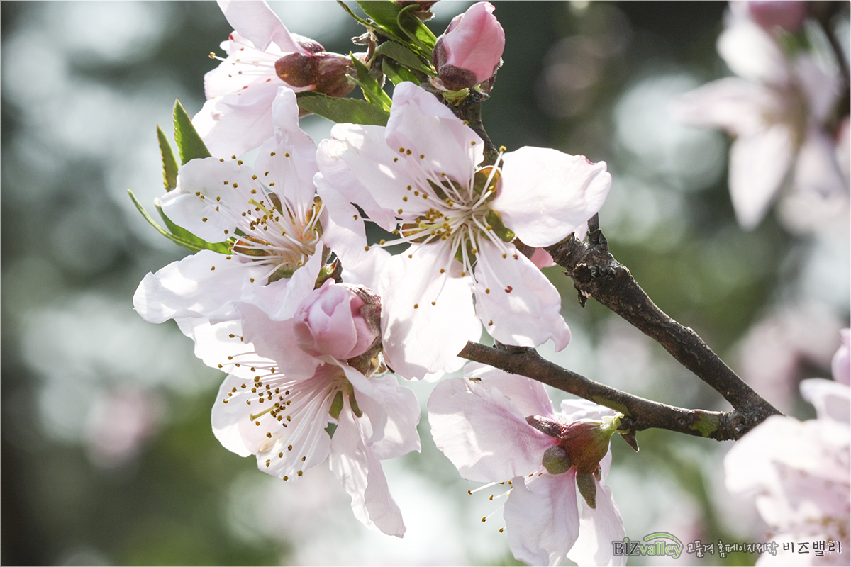 We are Web program production company