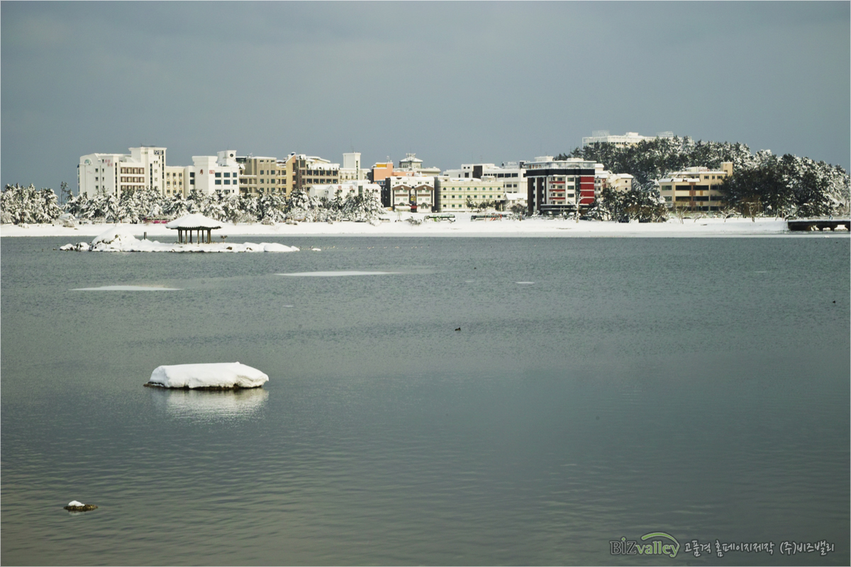 Welcome to bizvalley!