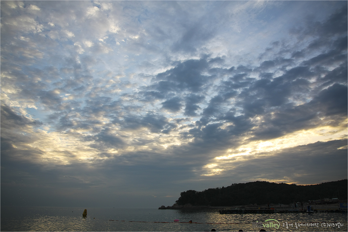 Homepage production specializing company