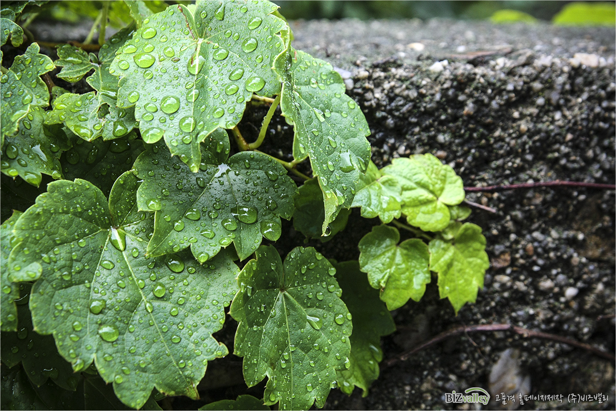 Creative digital agency based in Korea