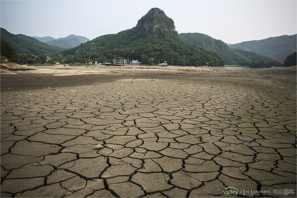 We are Web program production company