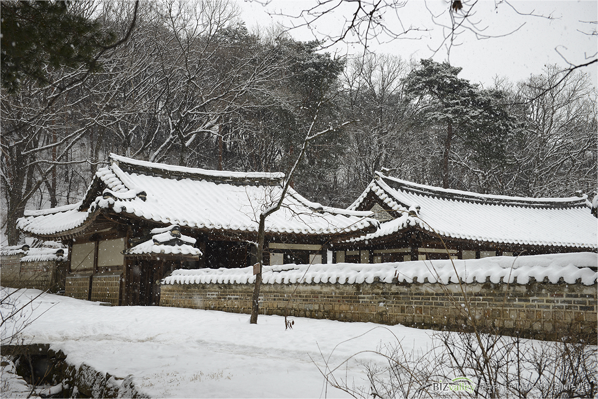 Welcome to bizvalley!