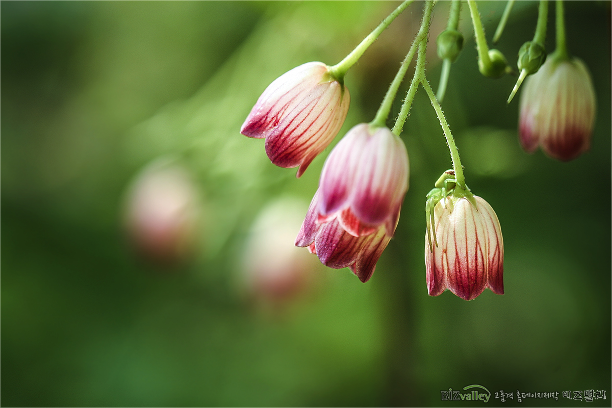 Welcome to bizvalley!