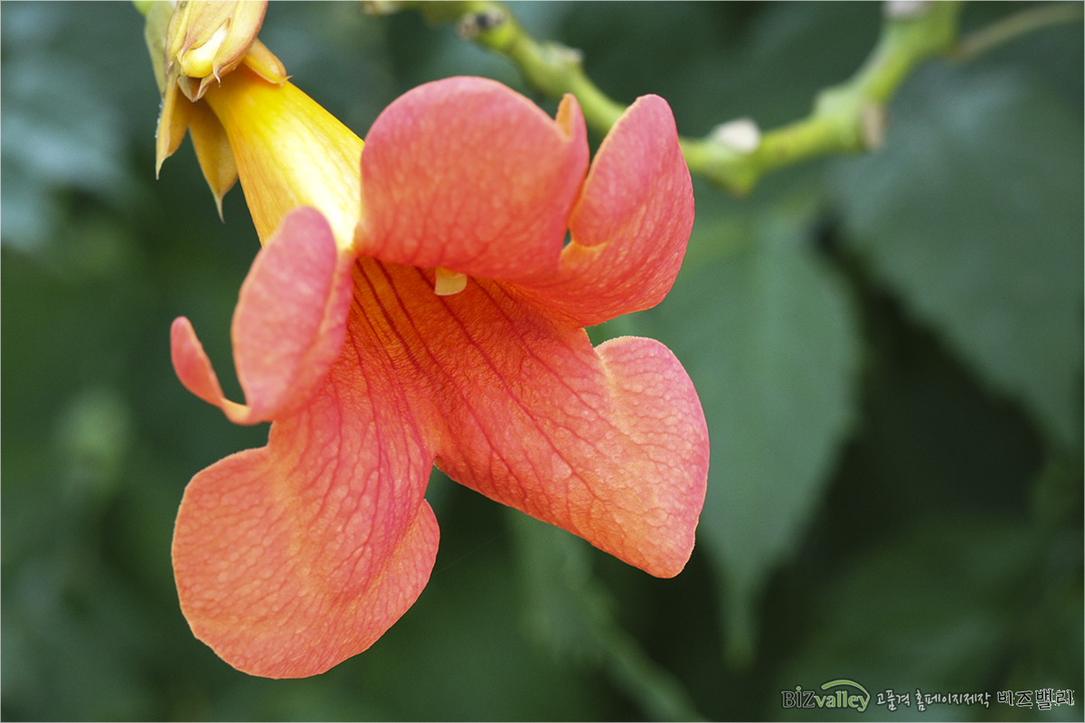 Creative digital agency based in Korea