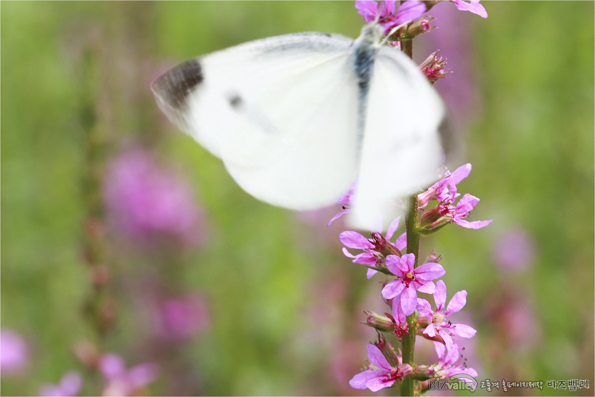 Phone number 02 714 8026