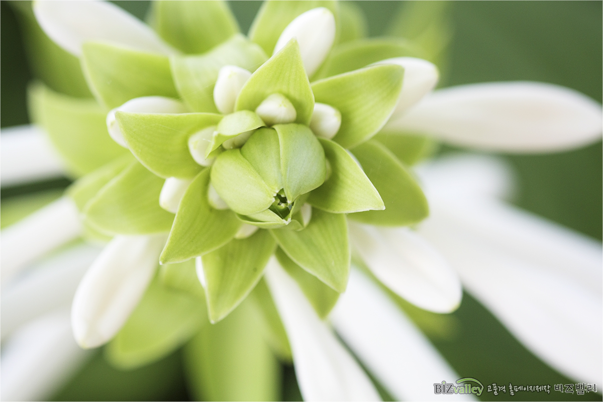 Phone number 02 714 8026