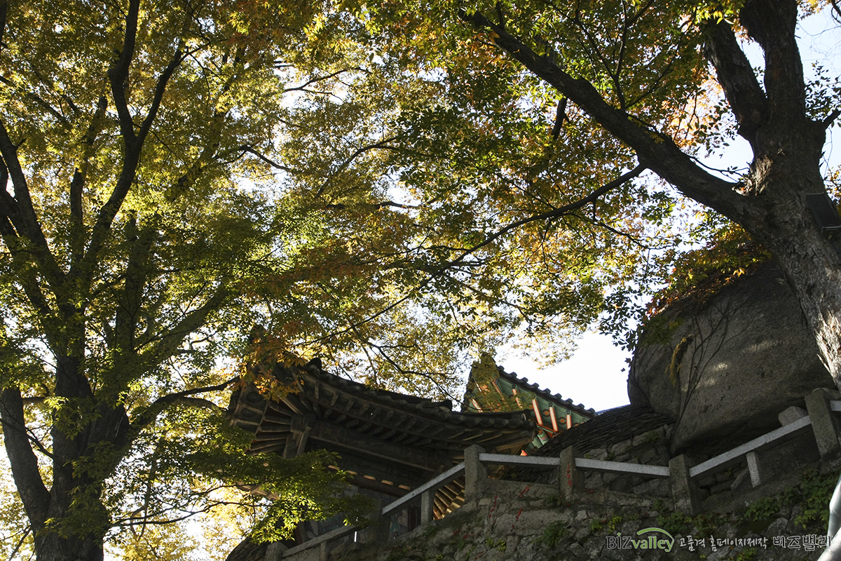 We are bizvalley web agency