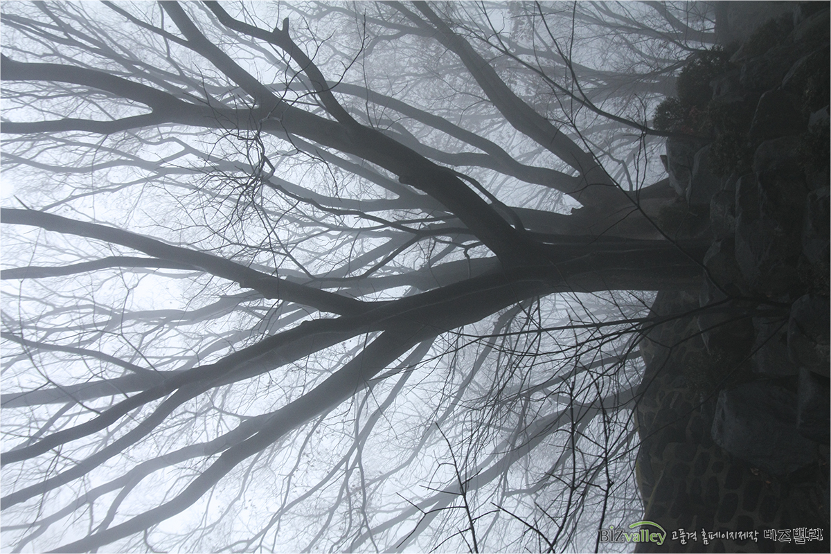 We are bizvalley web agency