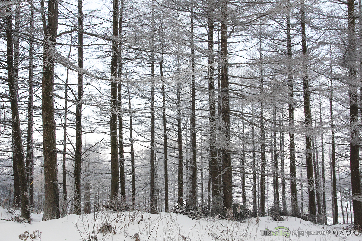 Homepage production specializing company