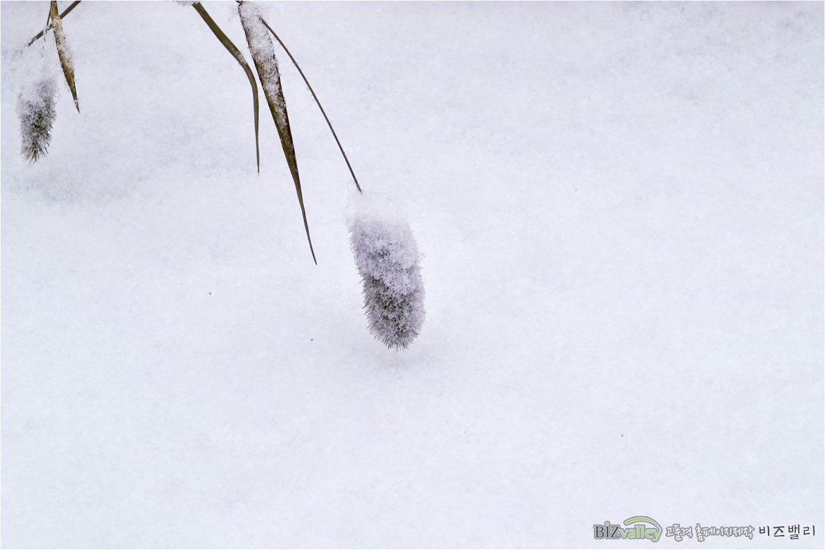 Welcome to bizvalley!