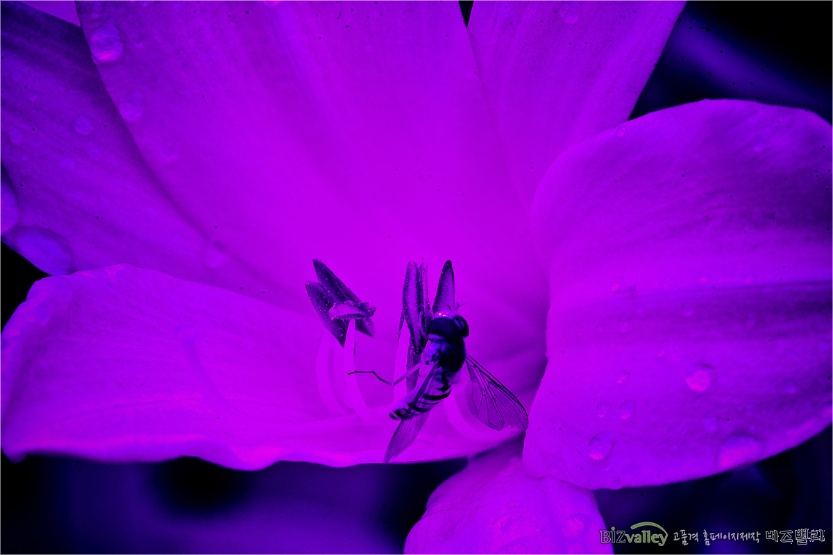 Phone number 02 714 8026