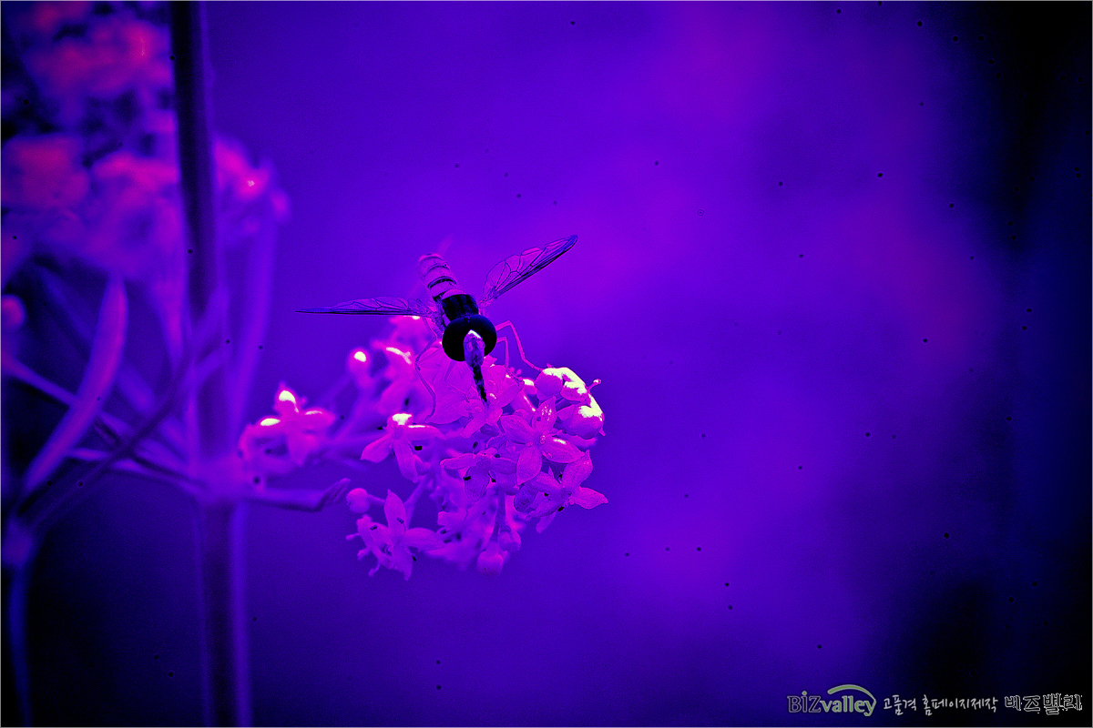 Creative digital agency based in Korea