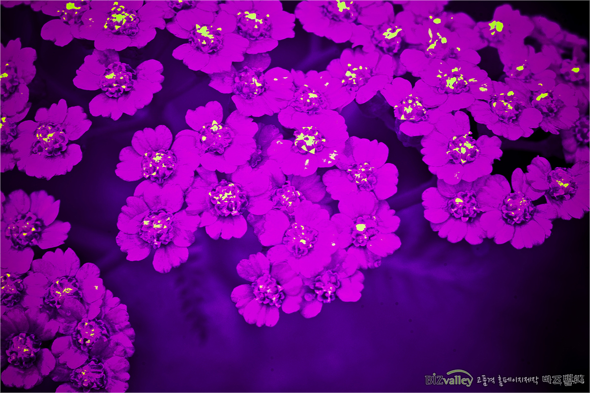 Welcome to bizvalley!