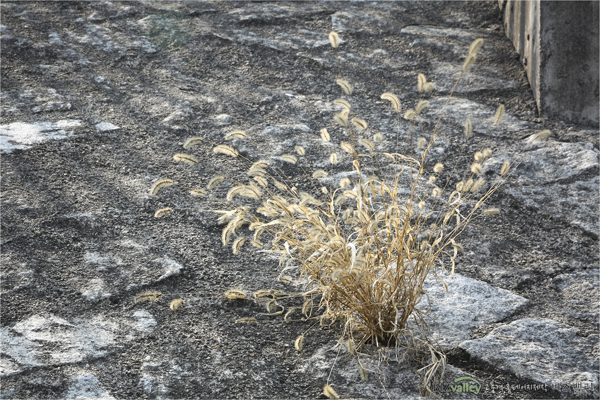 We are Web program production company