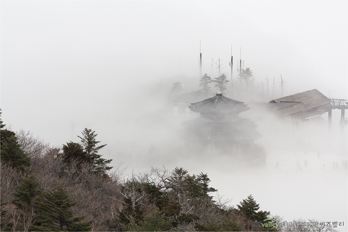 Phone number 02 714 8026