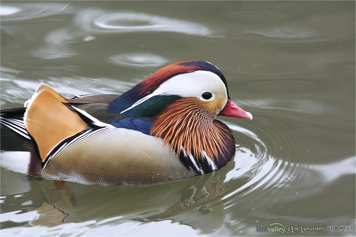 Creative digital agency based in Korea