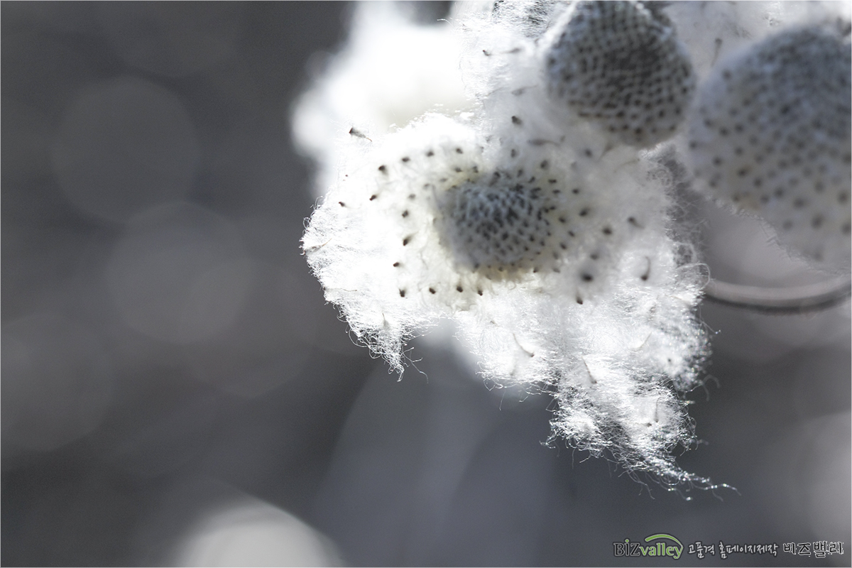 Creative digital agency based in Korea