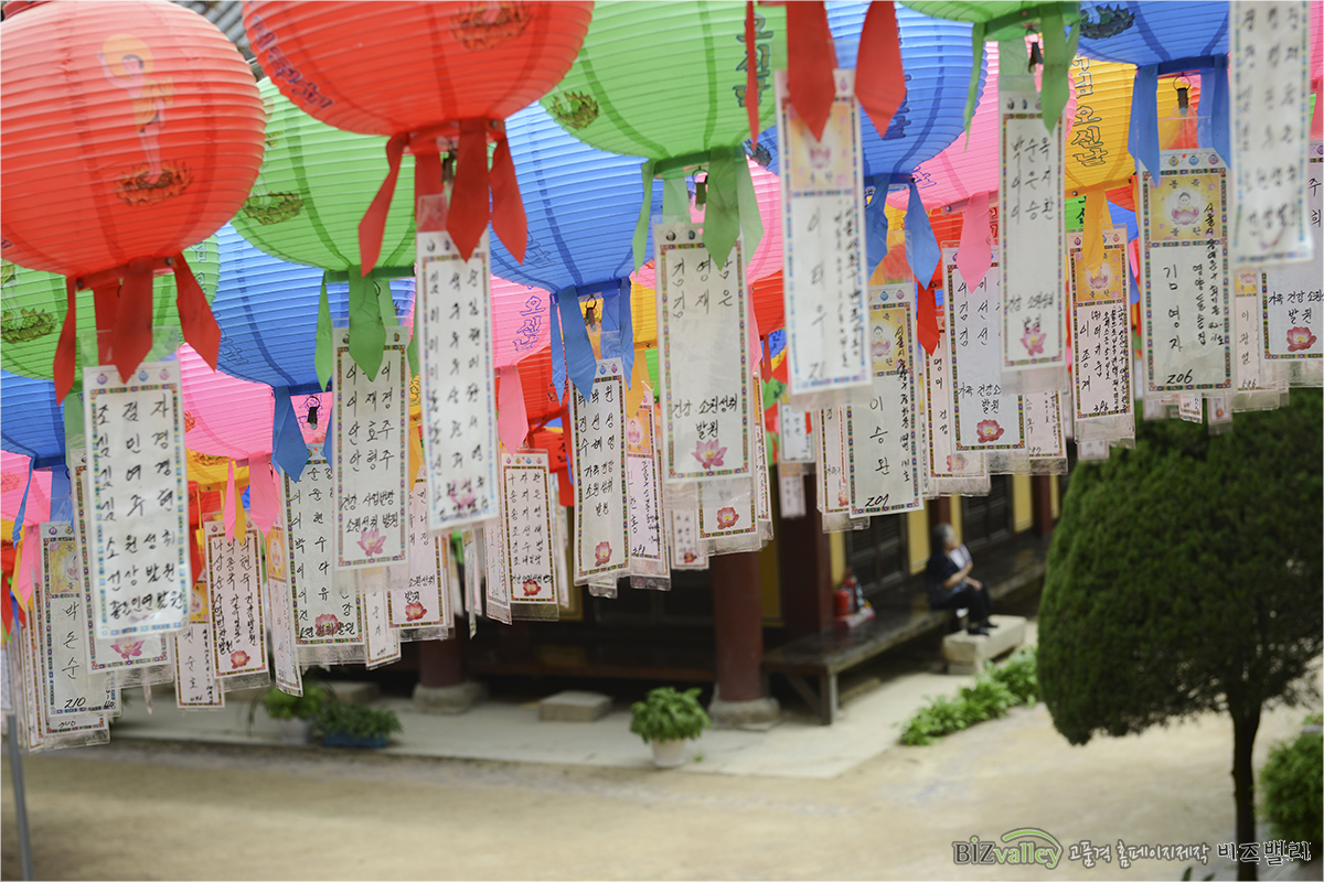 We are Web program production company