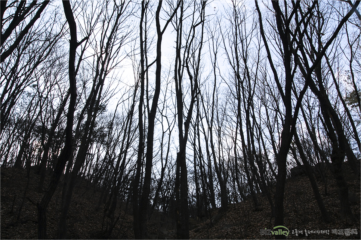 Phone number 02 714 8026