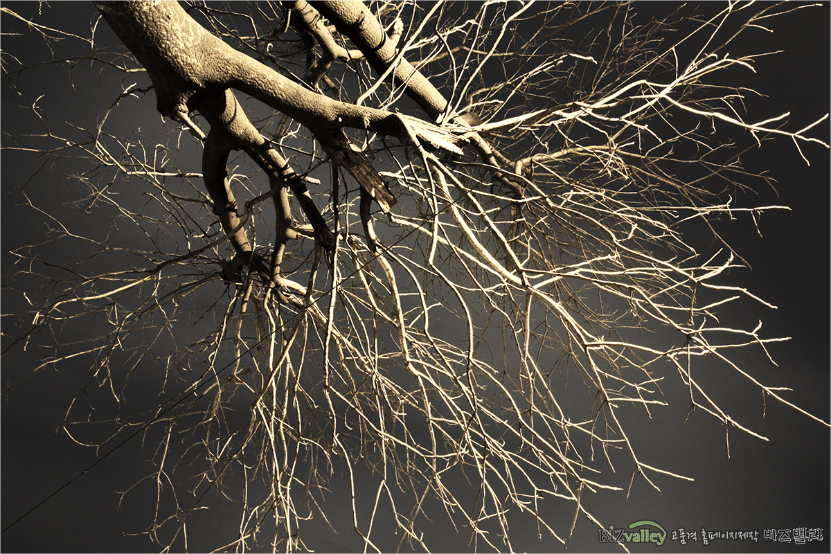 Phone number 02 714 8026