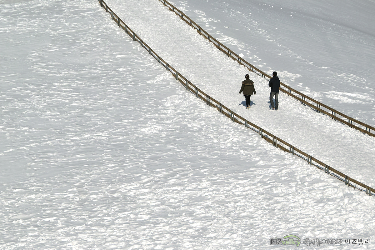 Creative digital agency based in Korea