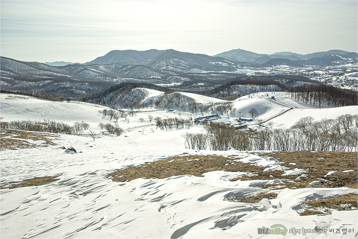 Phone number 02 714 8026