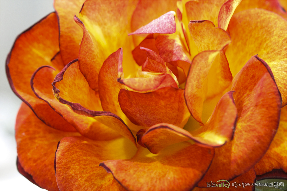 Phone number 02 714 8026