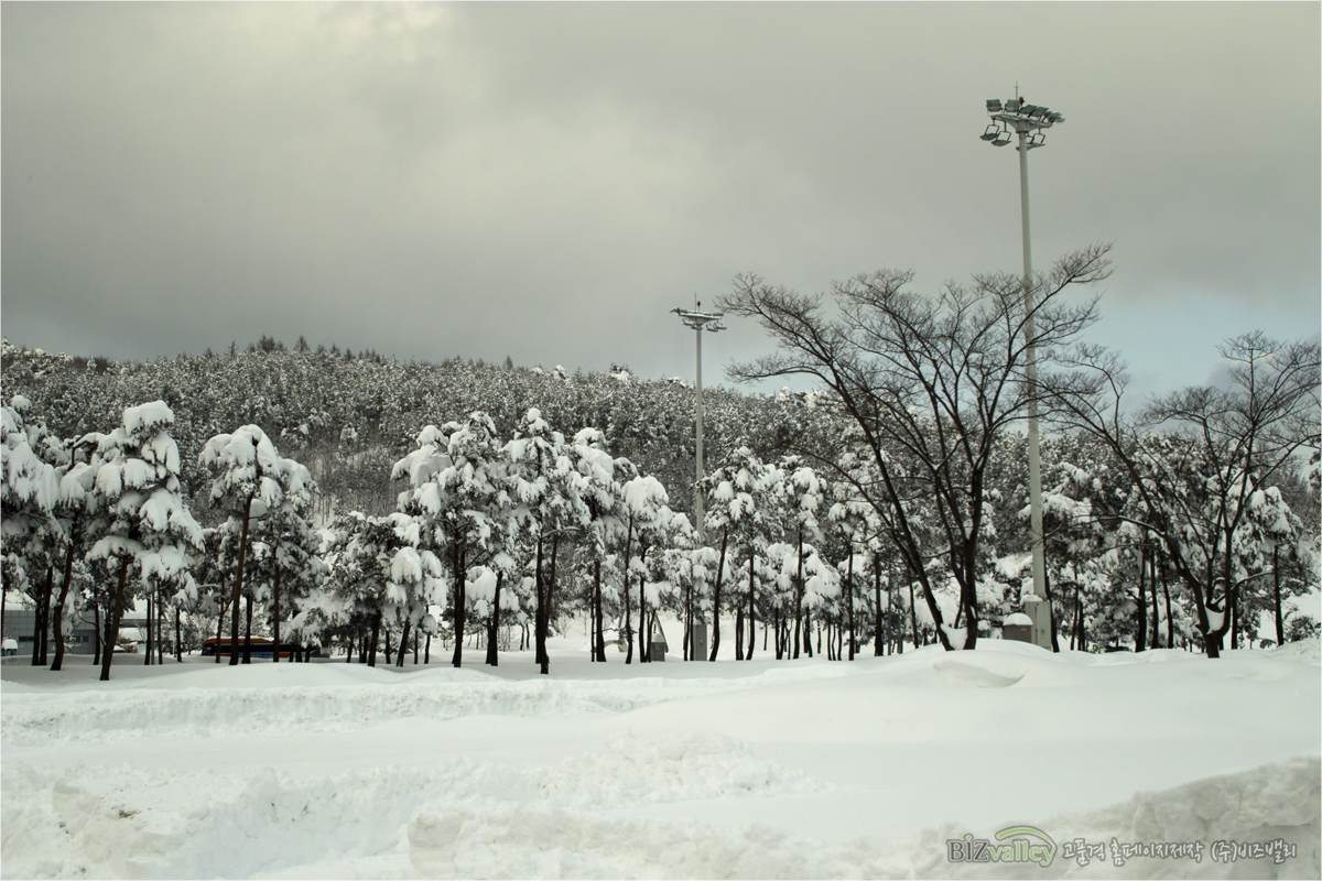 Creative digital agency based in Korea