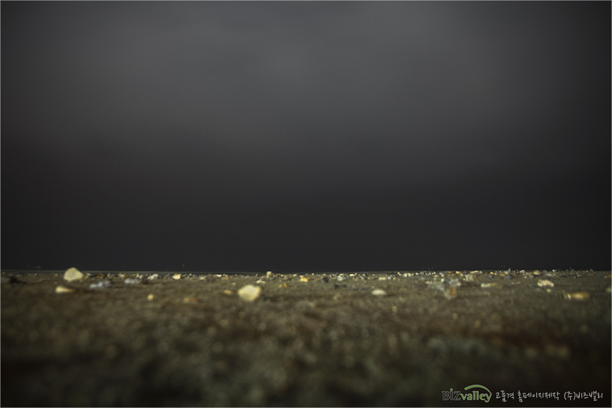 Homepage production specializing company