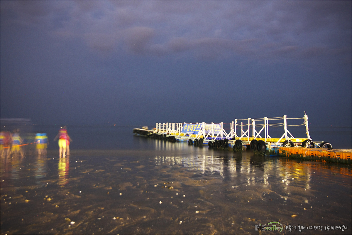 We are Web program production company