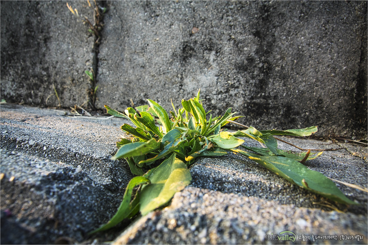 Creative digital agency based in Korea