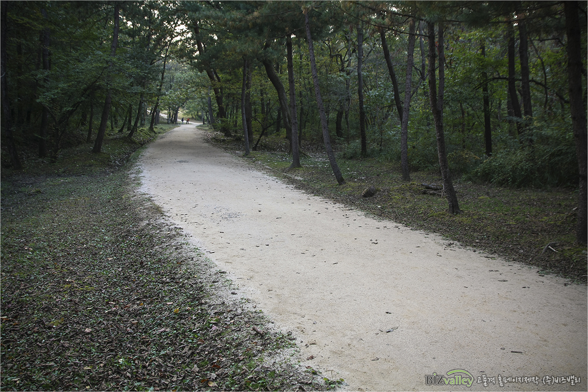 Homepage production specializing company