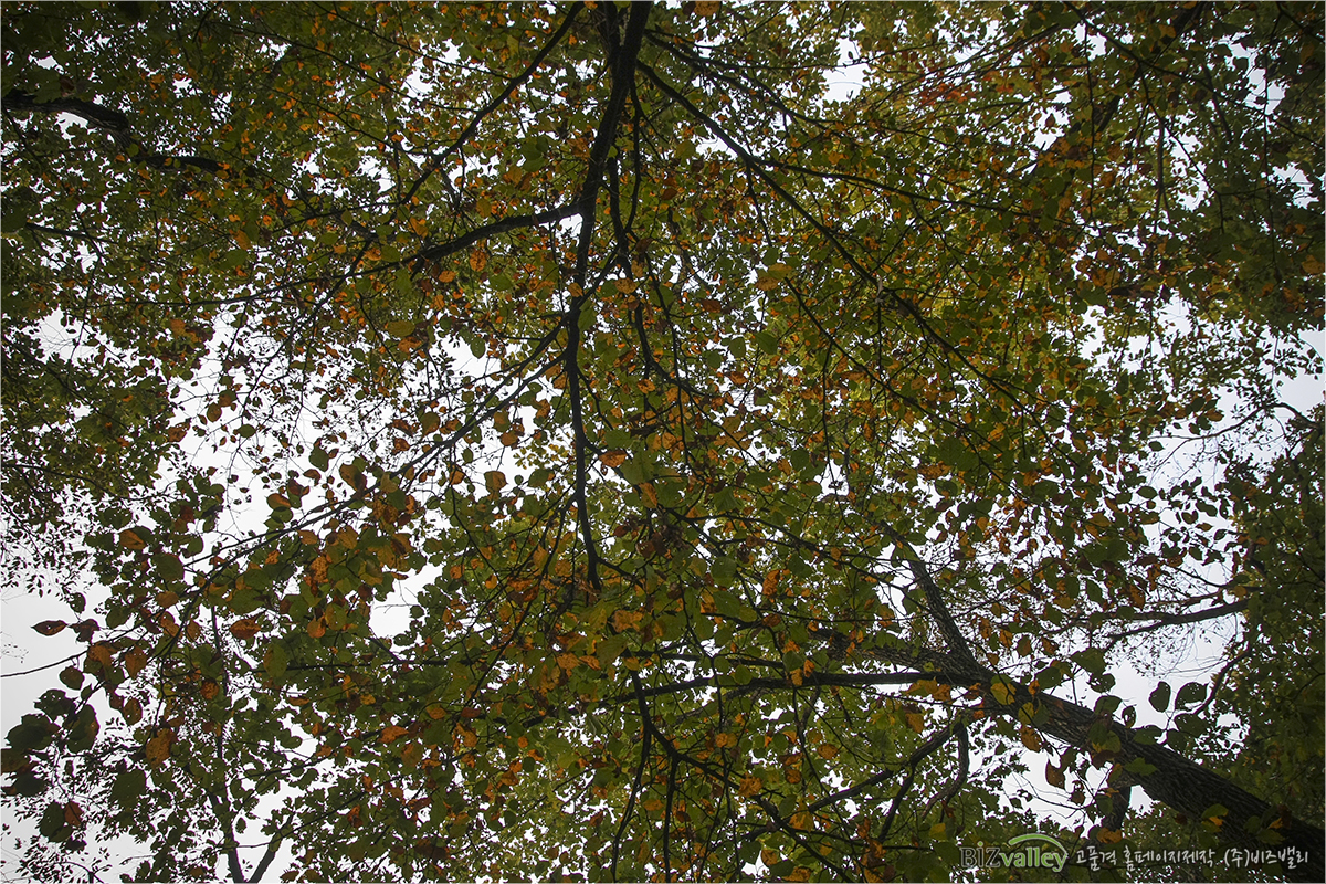 Phone number 02 714 8026