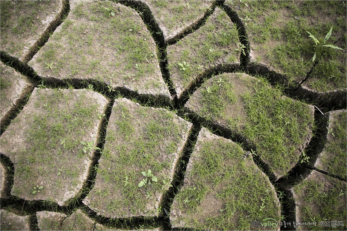 Creative digital agency based in Korea