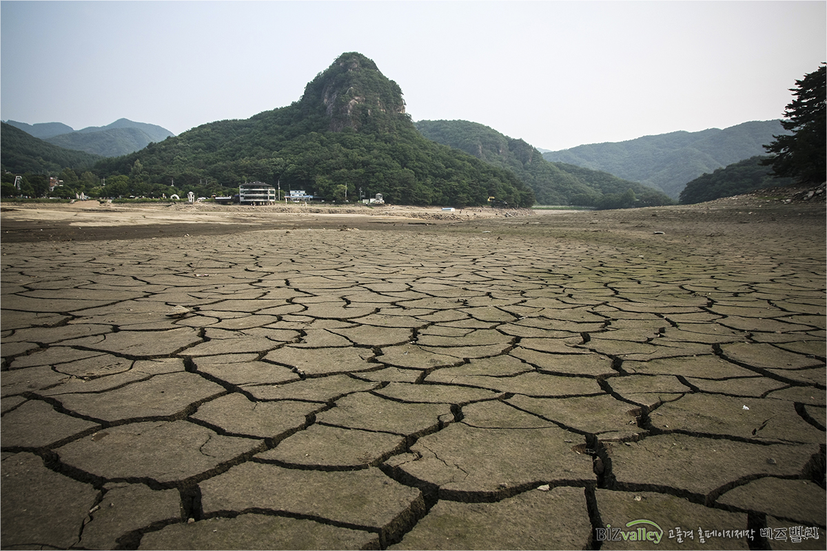 Homepage production specializing company