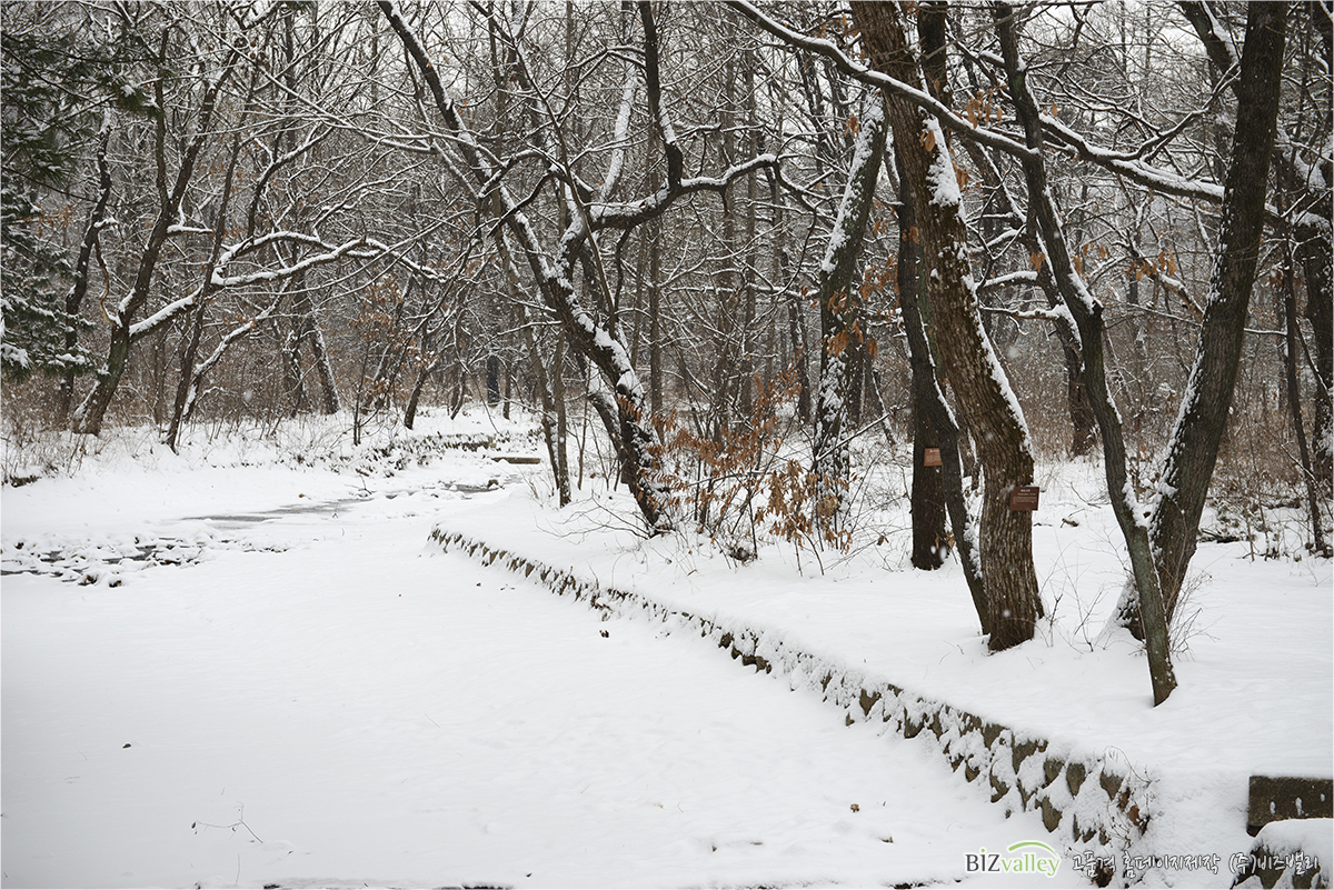 Welcome to bizvalley!