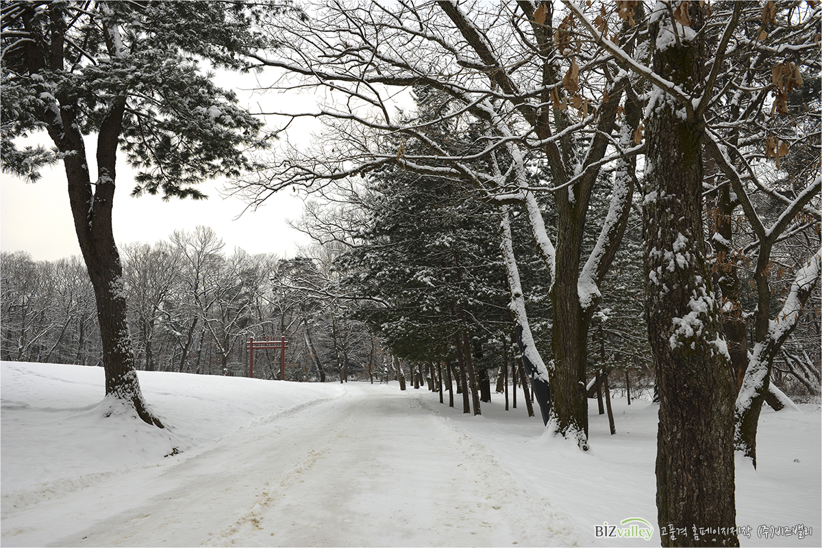 Creative digital agency based in Korea