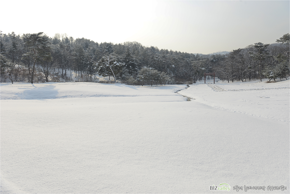 Homepage production specializing company